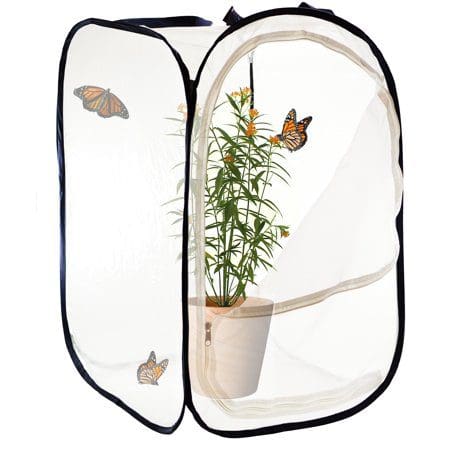 Large Net Cage  Monarch Butterflies