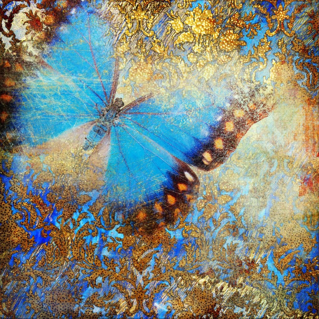 Embracing Imperfection: Life Lessons from Butterflies