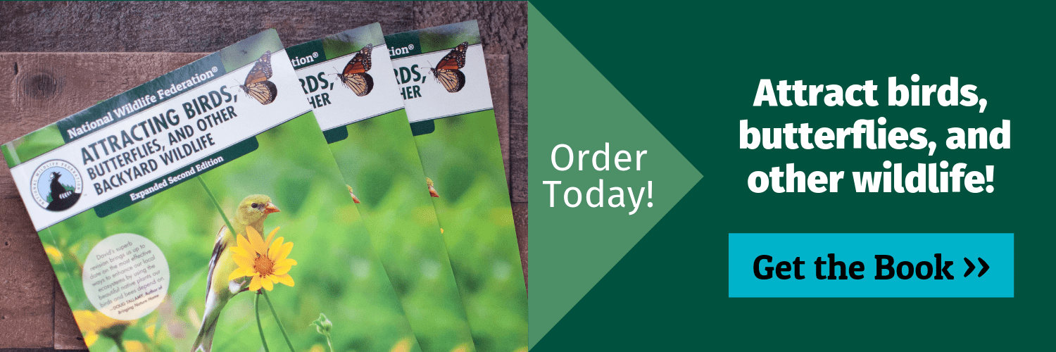 Order Today: Attract birds, butterflies and other wildlife! Get the book!